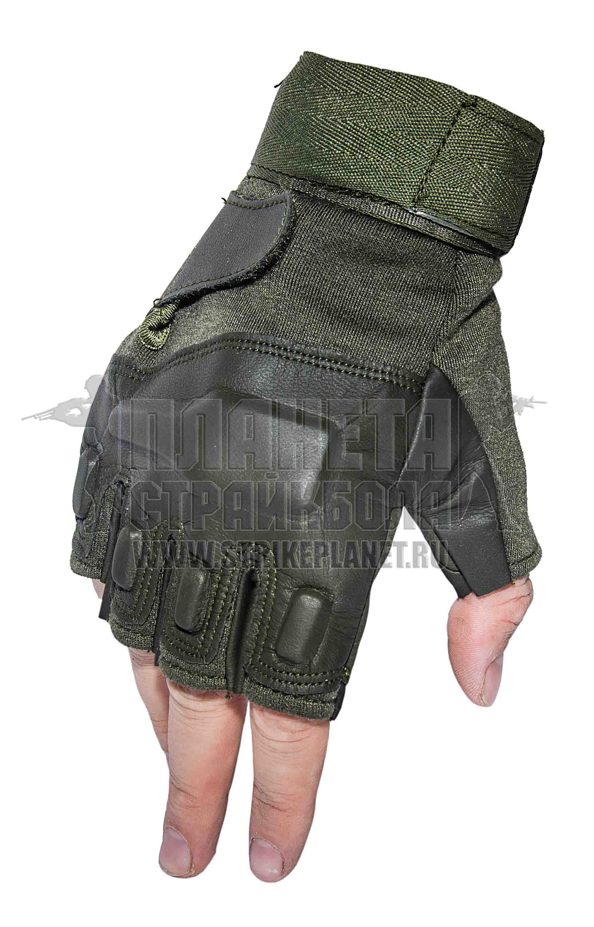 TAC0202N