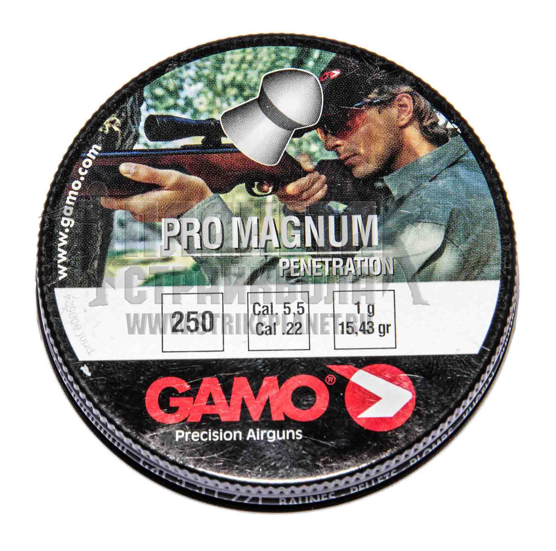 Gamo PRO 55 250SHT