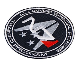 Нашивка Strike "N7. Alliance training program"