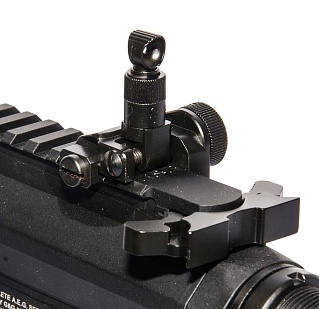 G&G Автомат GC16 Wild Hog 9" (egc-wld-009-bnb-ncm)