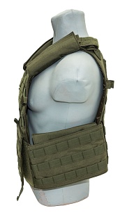 Плитоносец ССО Панцирь большой олива