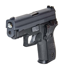 WE Пистолет Sig Sauer P229 Rail, Greengas (WE-F005A-BK-F229 R)