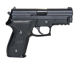 WE Пистолет Sig Sauer P229 Rail, Greengas (WE-F005A-BK-F229 R)