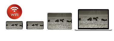 Монокуляр тепловизионный iRay xEye E3W