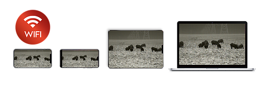 Монокуляр тепловизионный iRay xEye E3W