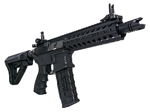 Автомат G&G CM16 FFR A2 (egc-16p-fa2-bnb-ncm)